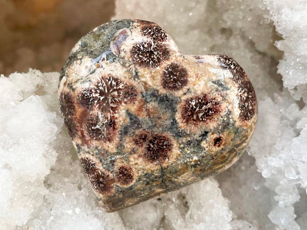 Rare Polished Green Blossom (Flower) Jasper Puff Heart