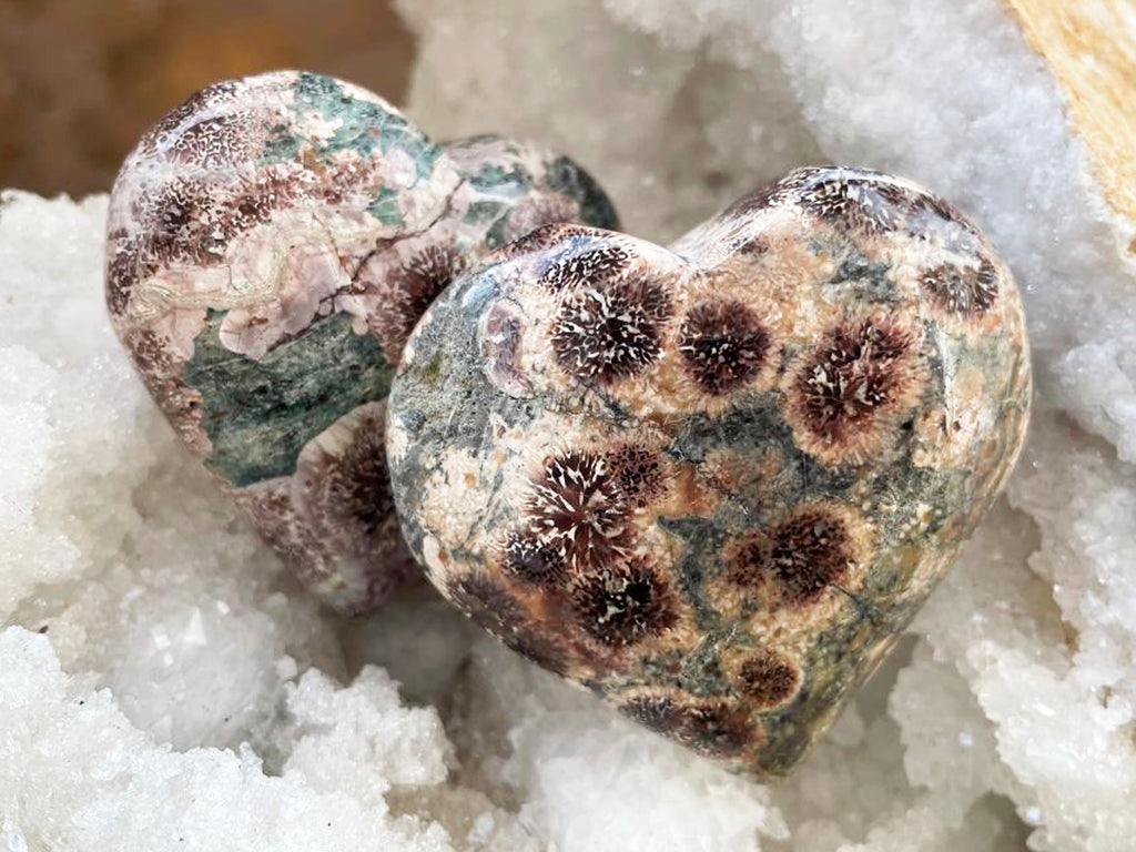 Rare Polished Green Blossom (Flower) Jasper Puff Heart